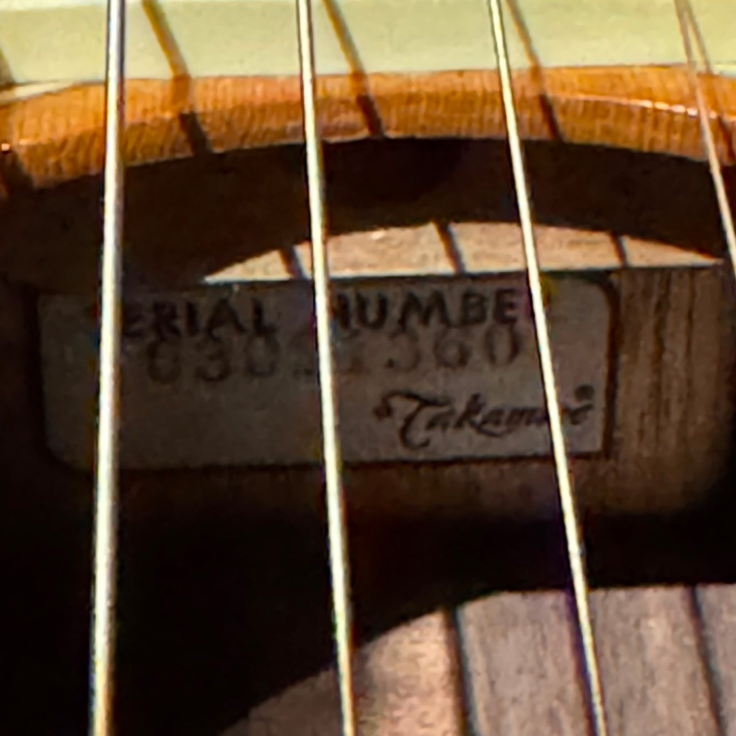 Takamine NV460S acoustic MIJ