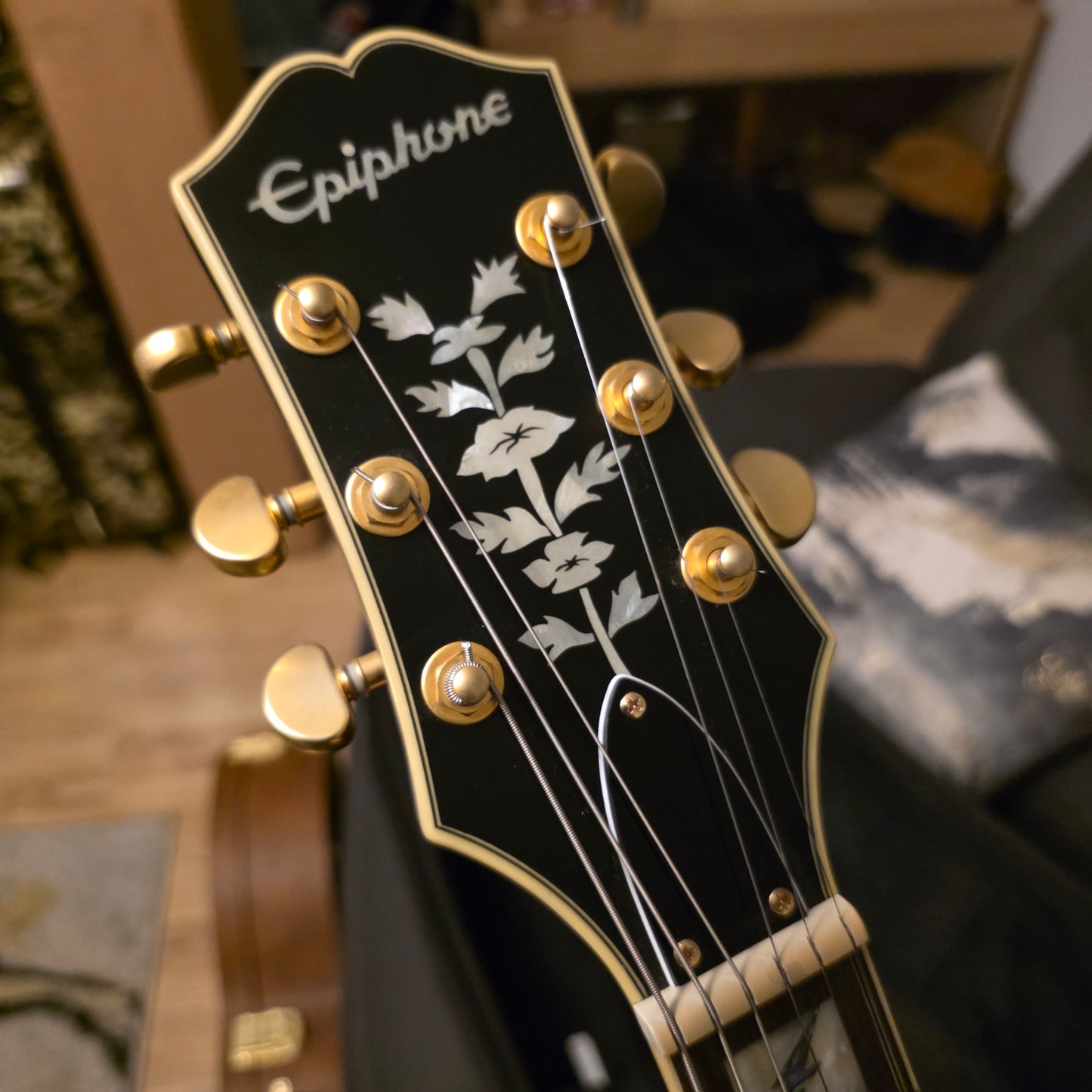 Epiphone Sheraton, Emily Wolf Signature in Stealth Black