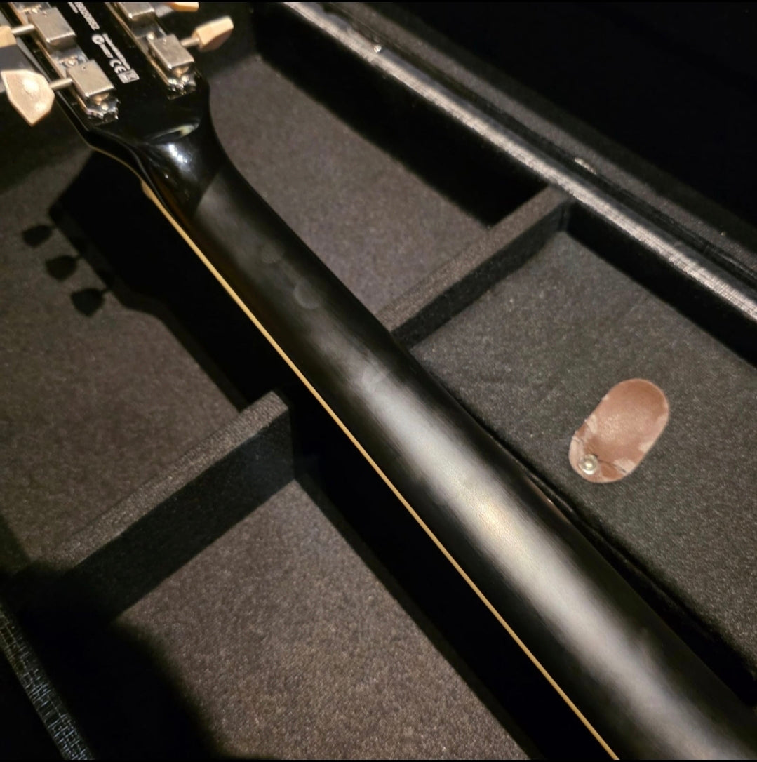 Supro Silverwood 2019 - trans cherry